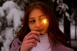 bella ragazza nel inverno foresta, giovane donna nel inverno parco foto