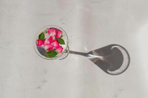 rosa petali nel un' Martini bicchiere, concetto di bellezza, stile e moda foto