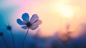 ai generato bellissimo fiore nel il prato a tramonto. foto