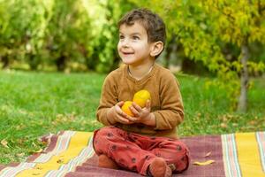 il poco bambino giocando nel il parco con frutta, poco ragazza nel il autunno parco foto