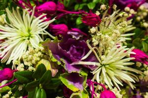 mazzo di simpatico colorato fiori nel il giardino foto