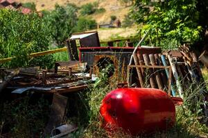 estate scena, natura nel il estate giorno foto