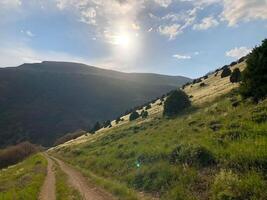 primavera scenario, natura nel primavera foto