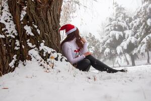 bella giovane donna nel inverno parco, rosso dai capelli ragazza nel il parco nel inverno foto