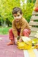 il poco bambino giocando nel il parco con frutta, poco ragazza nel il autunno parco foto