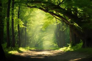 ai generato naturale arcata di illuminata dal sole alberi nel il foresta. creato con generativo ai foto