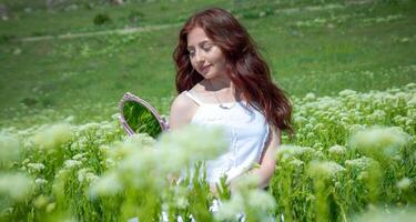 rosso dai capelli donna nel il parco, bella donna nel il natura foto