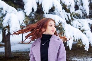 bella giovane donna nel inverno parco, rosso dai capelli ragazza nel il parco nel inverno foto