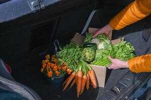 donna prende su un' cartone scatola con un assortimento di fresco verdure a partire dal il tronco di un' macchina, biologico cibo foto