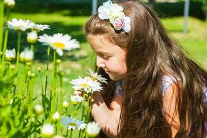 bella poco ragazza nel il natura, ragazza nel estate foto