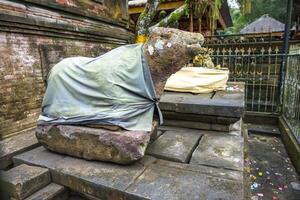 nandi pietra scultura nel tirta empul tempio nel Bali, Indonesia. identificato come il shiva di Dio veicolo. foto