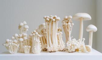 ai generato varietà di shimeji funghi, enoki fungo, d'oro ago fungo, enoki fungo foto