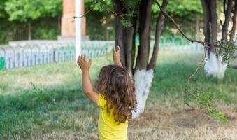 contento poco ragazzo giocando nel il parco, lungo capelli ragazzo nel il parco foto