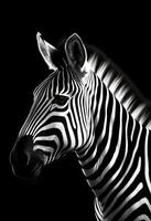 ai generato un' monocromatico foto di un' zebra con un' nero sfondo