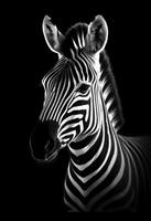 ai generato un' monocromatico foto di un' zebra con un' nero sfondo