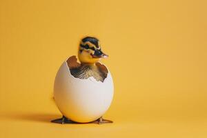 ai generato neonato anatroccolo emergente a partire dal uovo nel d'oro leggero con ai generato. foto