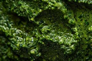 ai generato avvicinamento verde alga marina struttura con bolle. foto