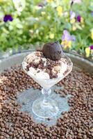 ghiaccio crema coppa di gelato guarnita con cioccolato biscotto guarnizione foto