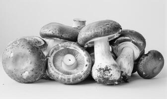 ai generato champignon funghi su un' bianca sfondo. monocromo. foto