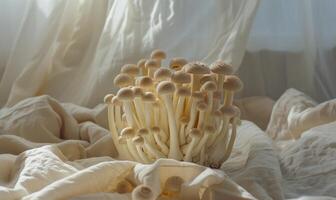 ai generato shimeji funghi su bianca tessuto sfondo. shimeji funghi foto