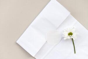 il giro vuoto etichetta e confezione modello, il giro etichetta modello su kraft carta regalo Borsa, camomilla fiore foto