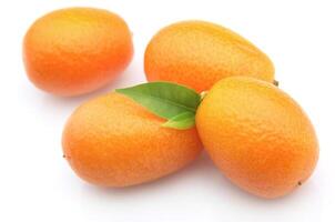 kumquat su bianca sfondi foto