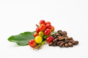 mazzo di arabica caffè frutta con verde foglia e mucchio di arrostito caffè fagioli su bianca sfondo con ritaglio sentiero. il semi di caffè frutta chiamato caffè fagioli. foto