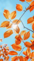 ai generato vivace arancia autunno le foglie contro un' chiaro blu cielo foto
