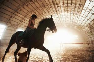 immagine maestosa della sagoma del cavallo cavallo con cavaliere su sfondo tramonto. la ragazza fantino sul dorso di uno stallone cavalca in un hangar in una fattoria e salta sopra la traversa. il concetto di guida foto