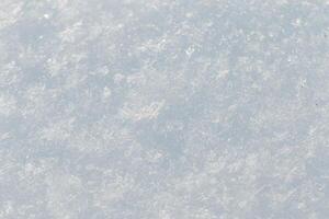 bianca neve struttura macro. inverno sfondo. i fiocchi di neve foto