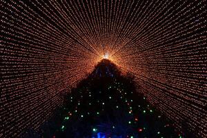 grande sorprendente Magia Natale albero con luci a notte. Natale vigilia foto