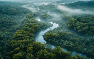 ai generato aereo Visualizza di fiume attraverso nebbioso foresta foto