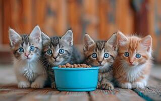 ai generato multicolore gattini guardando dolcemente a il telecamera mentre affollato in giro un' blu cibo ciotola foto