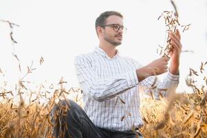 agronomo ispeziona soia Ritaglia nel agricolo campo - agro concetto - contadino nel soia piantagione su azienda agricola foto