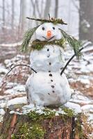 pupazzo di neve su un' albero ceppo con carota, pulsanti, rami, pino aghi come capelli foto