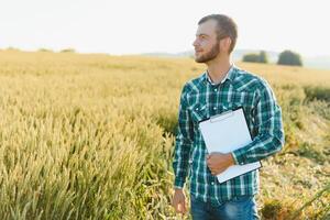 contento giovane contadino o agronomo ispezionando Grano impianti nel un' campo prima il raccolto. controllo seme sviluppo e guardare per parassiti con ingrandimento bicchiere. biologico agricoltura e cibo produzione foto