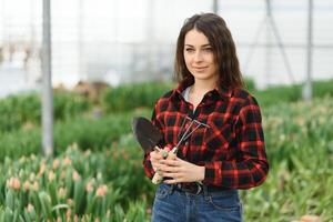 bellissimo giovane sorridente ragazza, lavoratore con fiori nel serra. concetto opera nel il serra, fiori. foto