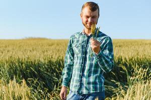 contento giovane contadino o agronomo ispezionando Grano impianti nel un' campo prima il raccolto. controllo seme sviluppo e guardare per parassiti con ingrandimento bicchiere. biologico agricoltura e cibo produzione foto