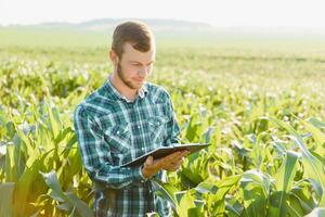 contento giovane contadino o agronomo utilizzando tavoletta nel Mais campo. irrigazione sistema nel il sfondo. biologico agricoltura e cibo produzione foto