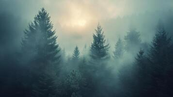 ai generato torreggiante alberi nel lussureggiante foresta foto