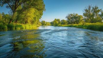 ai generato fiume fluente attraverso lussureggiante verde foresta foto