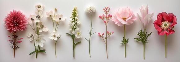 ai generato fiori preparativi su un' bianca sfondo foto