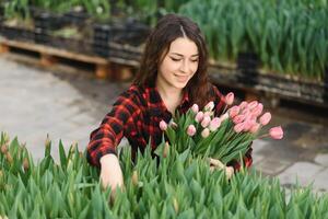 bellissimo giovane sorridente ragazza, lavoratore con fiori nel serra. concetto opera nel il serra, fiori. foto