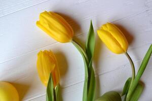 giallo tulipani su un' bianca di legno sfondo. foto