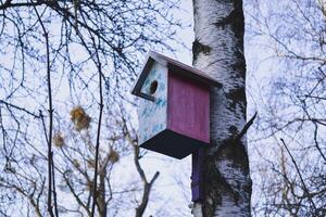 colorato birdhouse su il albero. Nidificazione scatola. foto