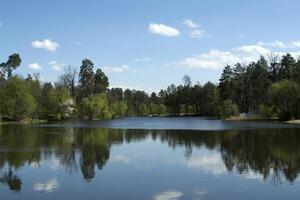 lago nel il foresta. bellissimo natura paesaggio. foto