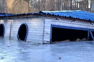 disegnato nave su il inverno lago. foto