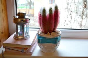 libri, cactus e candela lanterna su il finestra davanzale. accogliente vivente interno. foto