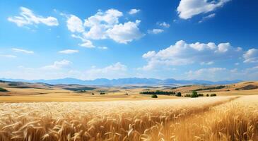 ai generato Visualizza di un' bellissimo d'oro Grano campo sotto un' blu cielo foto