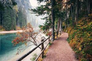 sentiero con staccionata in legno nei boschi di montagna vicino al fiume foto